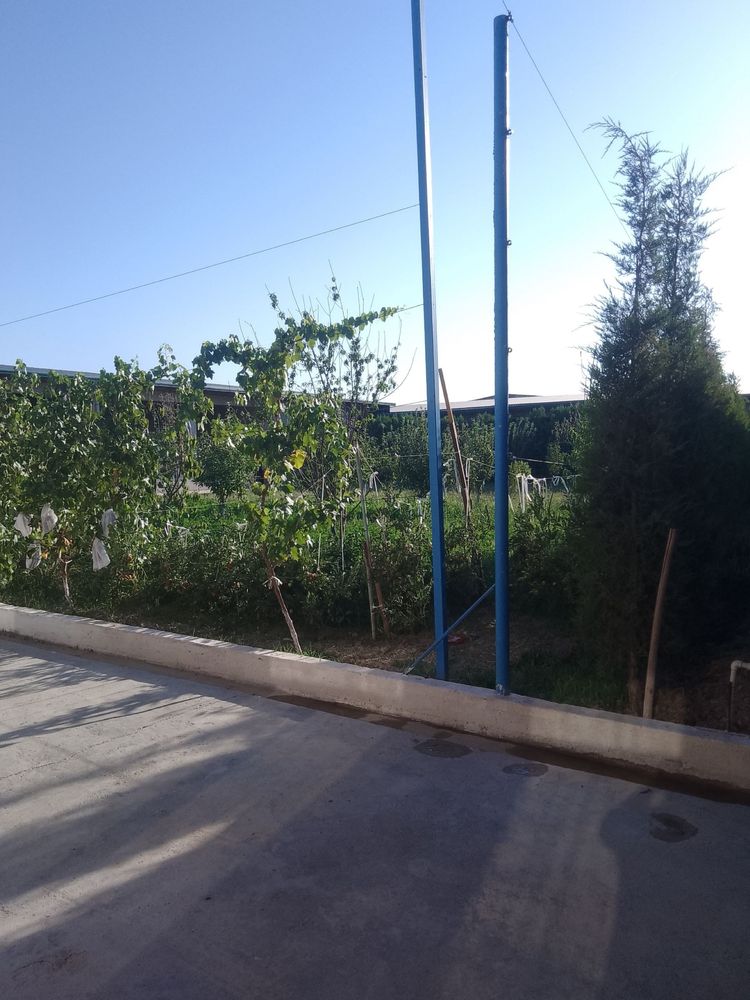 Ferma Sotilad 26,5 sotix