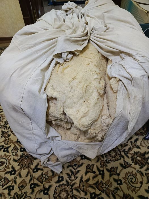 Срочно! Пахта сотилади! Арзон нархда!