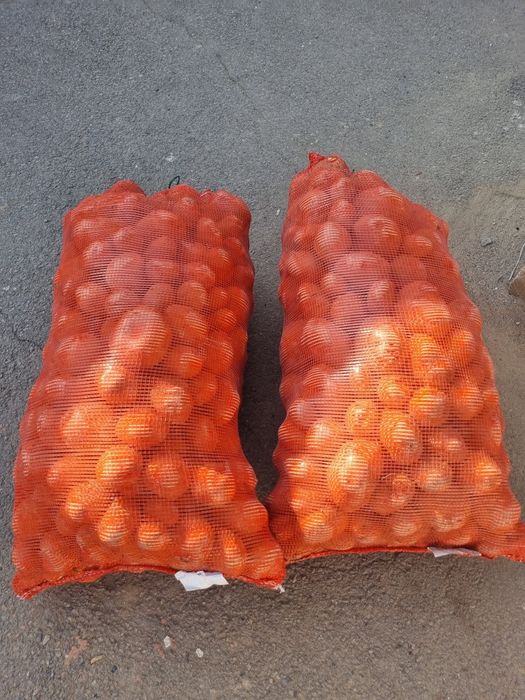 Картошка синиглазка 250