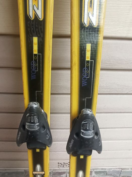 Горные лыжи DYNOSTAR , 170 см.