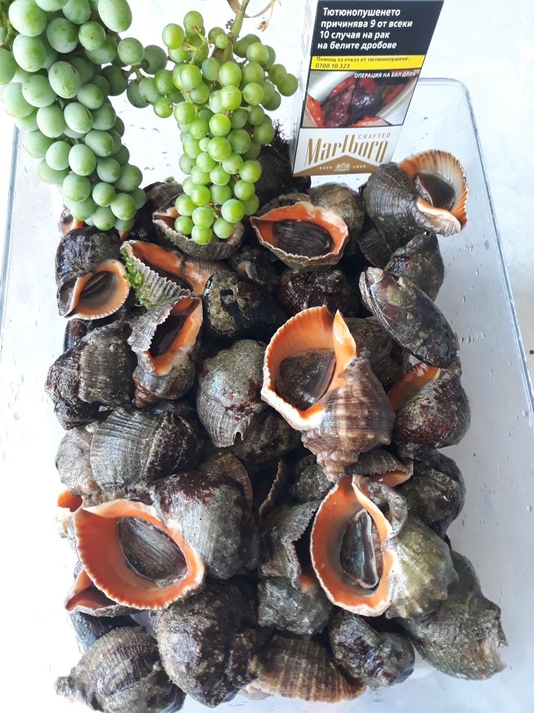 Лозови листа големи