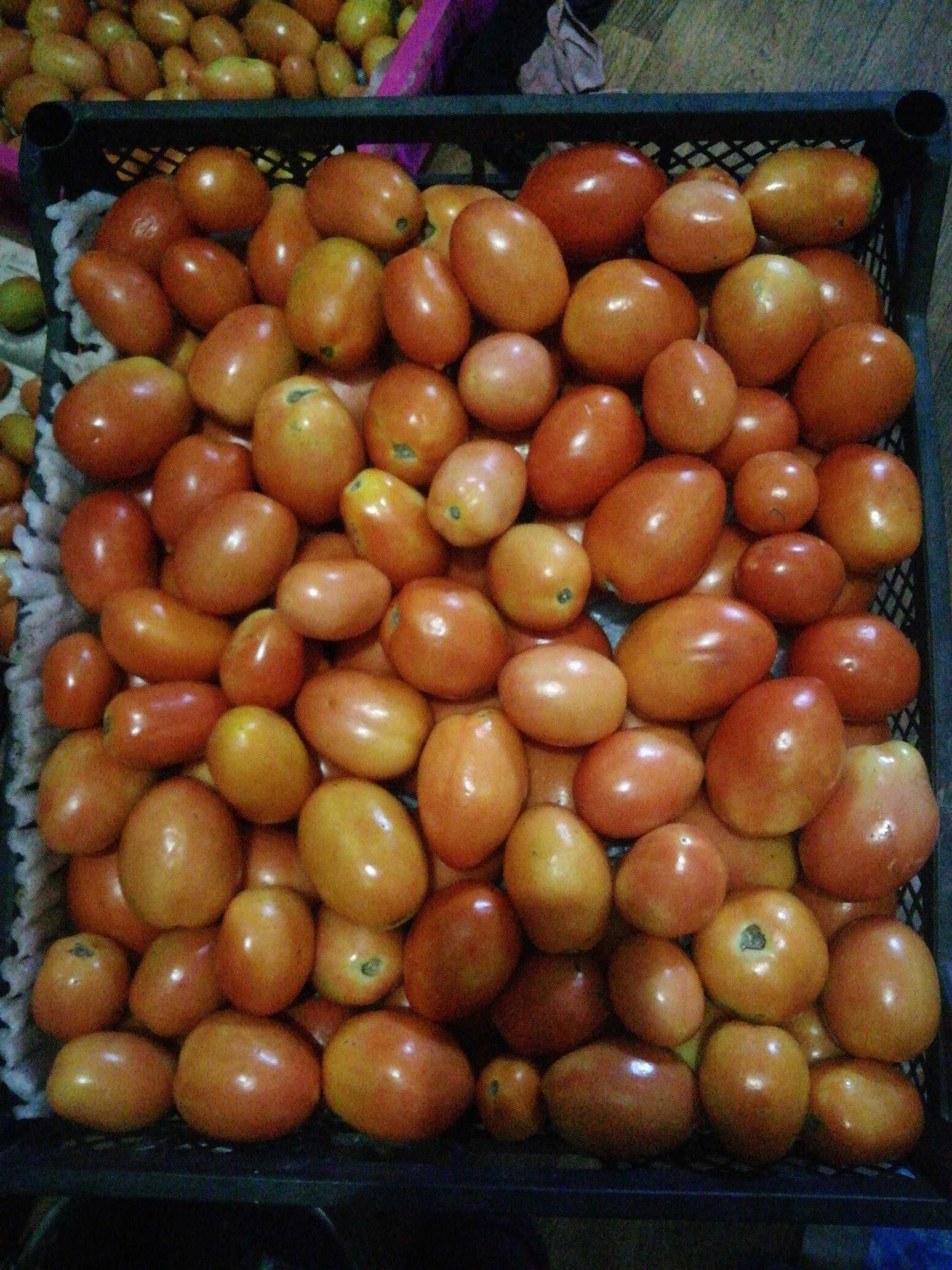 Продам помидоры Қызанақ сатамын
