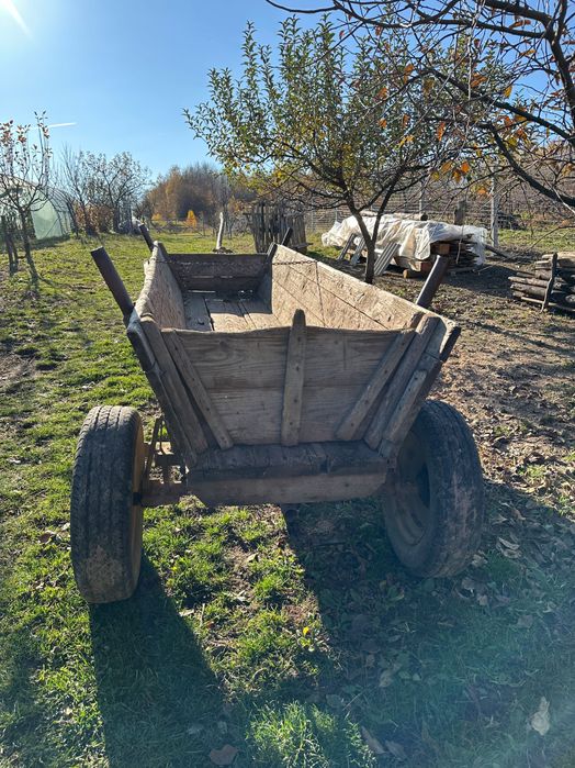 Vând 2 cai și un mânz + echipamente complete