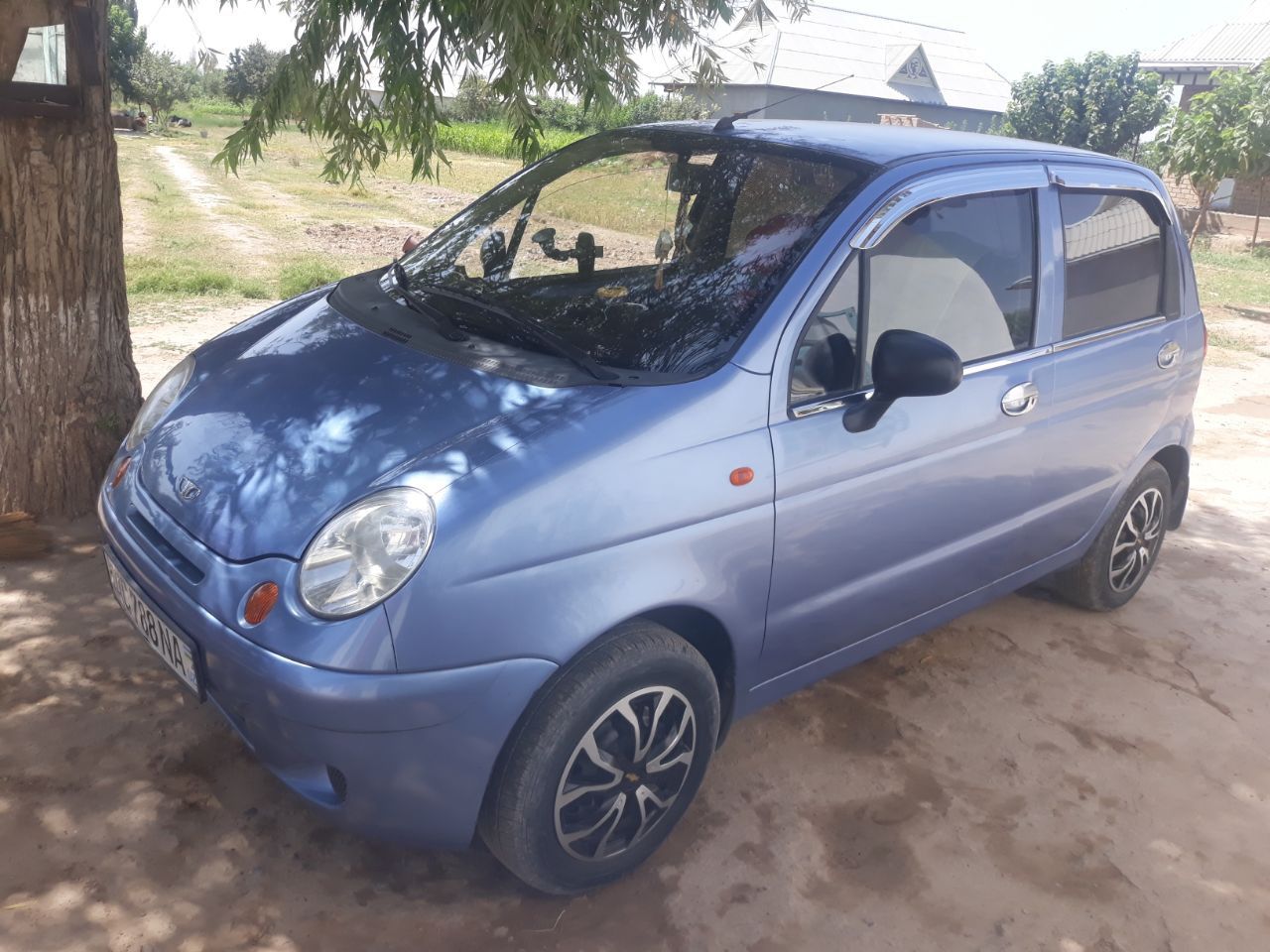 Matiz delfin rang