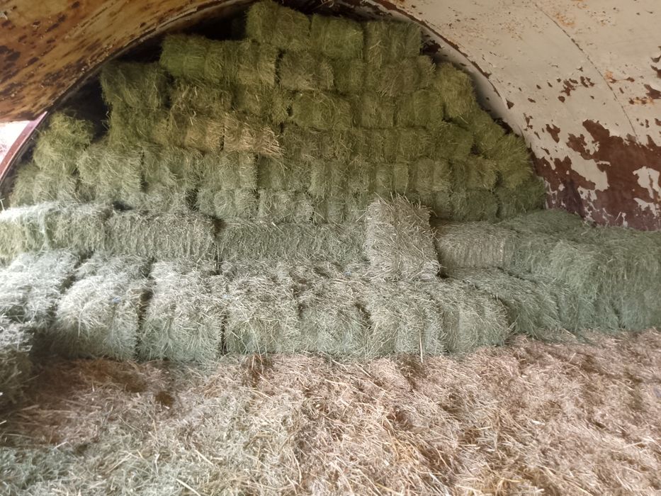 Продавам Бали трета люцерна