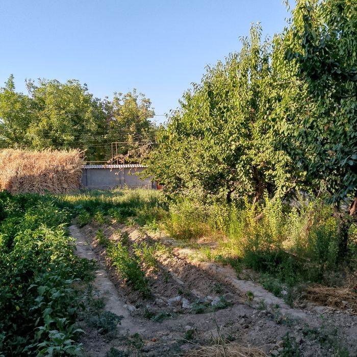 Юкори Чирчик туманида ер участками сотилади