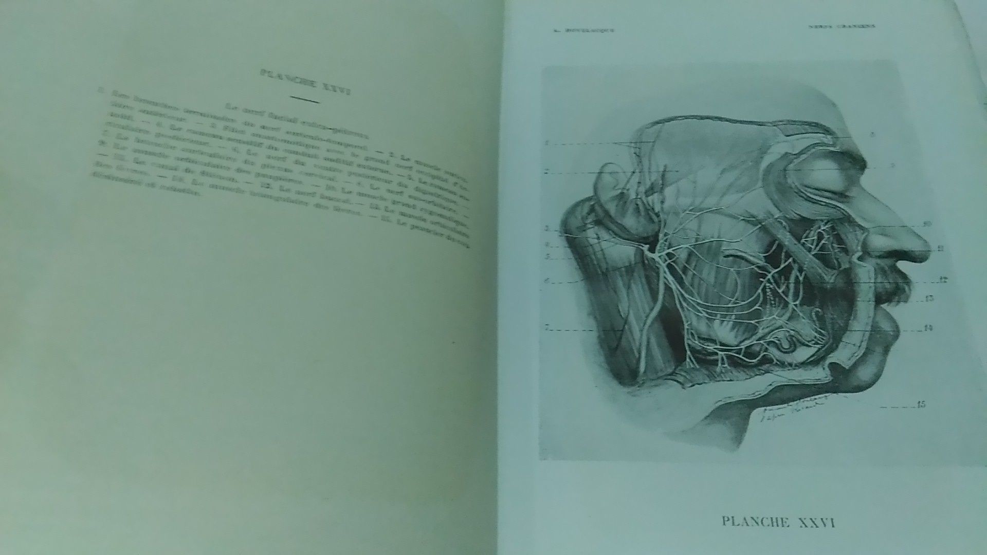Anatomie des Nerfs Craniens et Rachidiens-A. Hovelaque 1927