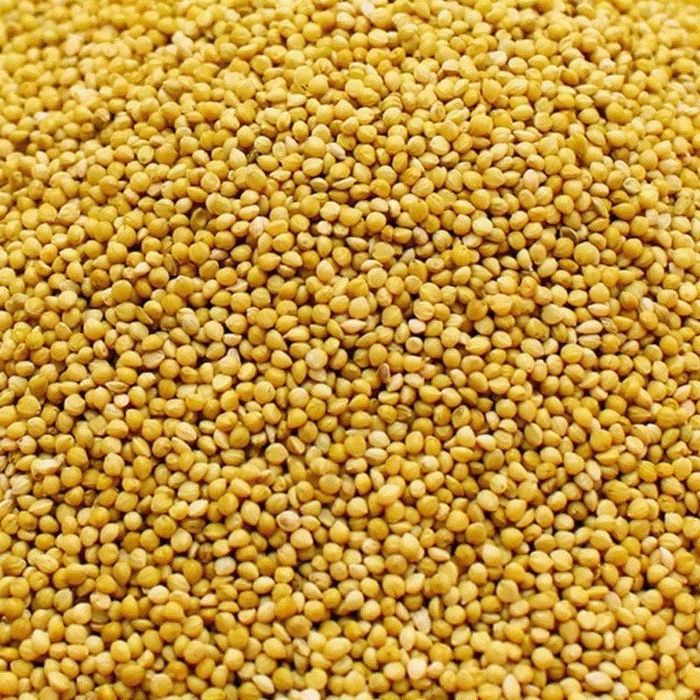 Продам Просо желтое