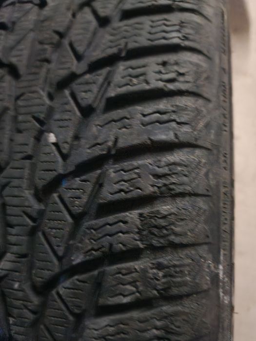 Гуми 205/55/16 Nokian WR-D4