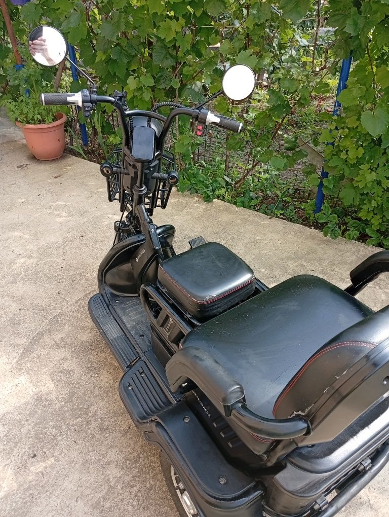 Triciclu 2 locuri