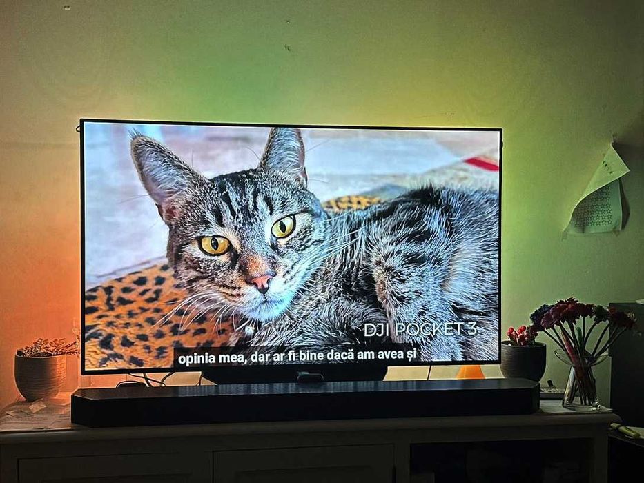 Televizor LG OLED55BX3LB, 139 cm, Smart, 4K Ultra HD, OLED