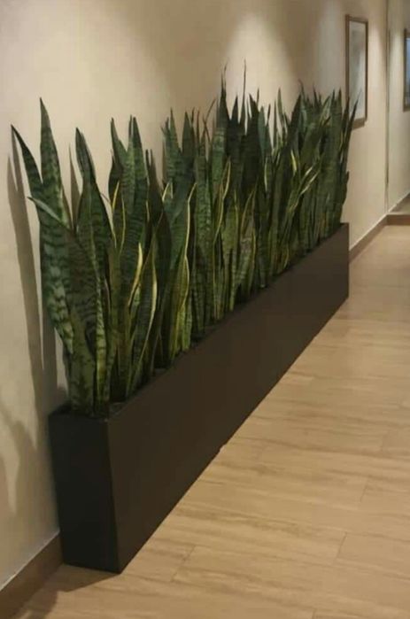 Кашпо Декоративные цветы оптом