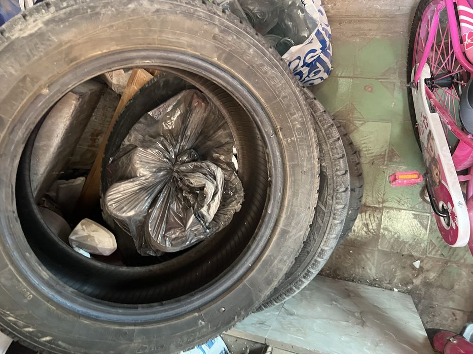 Зимний балон. Қыстық дөңгелек