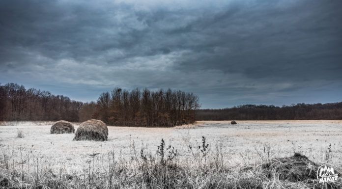 Teren extravilan arabil 2.7 ha manastirea Timseni sag Timisoara