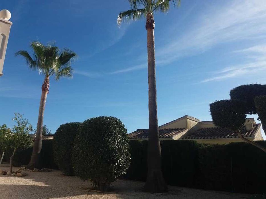 Amenajare grădini,toaletare pomi,scarificare-insamantare gazon!