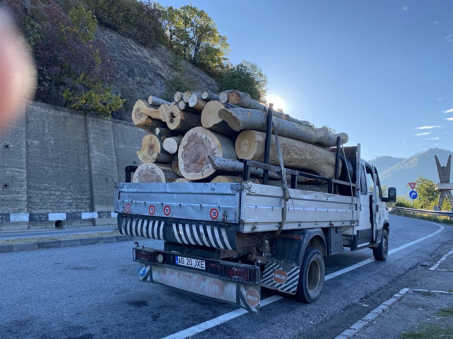 Lemne de vânzare fag