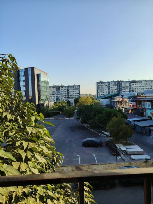 Golden haus Паркентский рынок