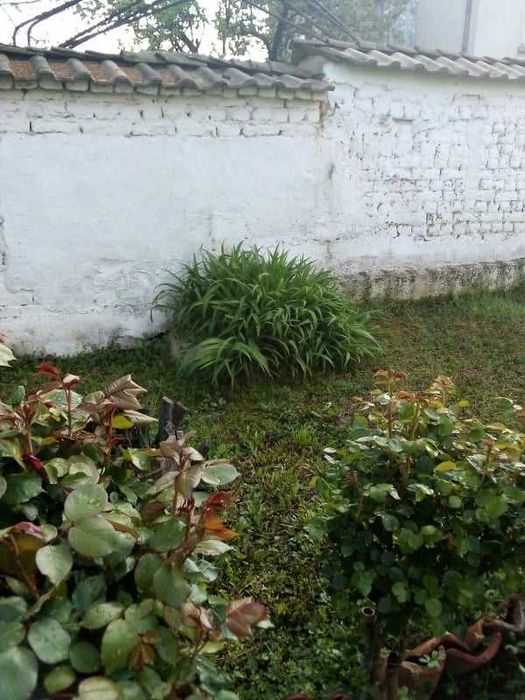 Продава се Къща в с. Долна махала, Област Пловдив - 85 кв.м за 765 €/кв.м - Снимка #4