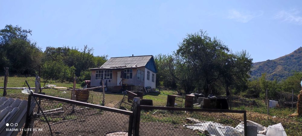 Продам земельный участок 50 гектар круглогодичная пастбища КФХ.