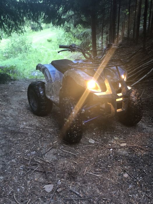 Vand sau schimb atv 125cc