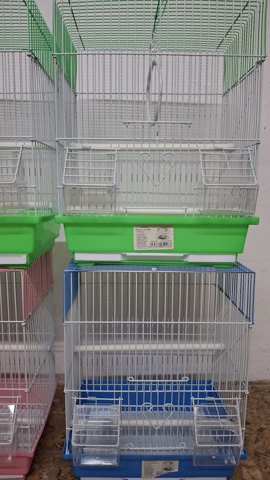 Colivii ,diferite culori