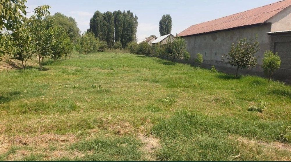 Участок 10 соток.