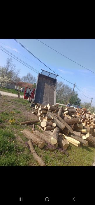 Lemne de vânzare!