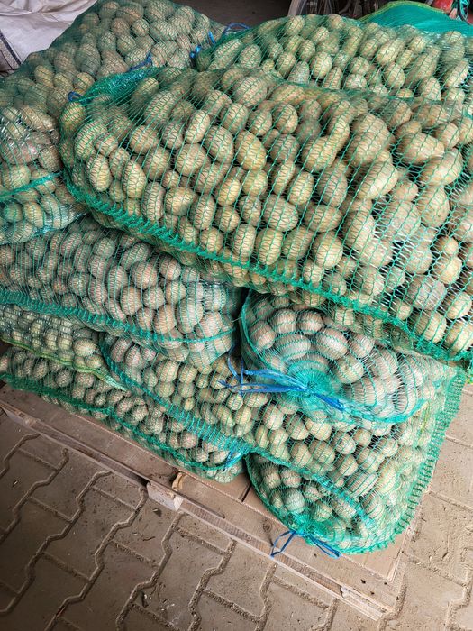 Vănd cartofi pentru animale