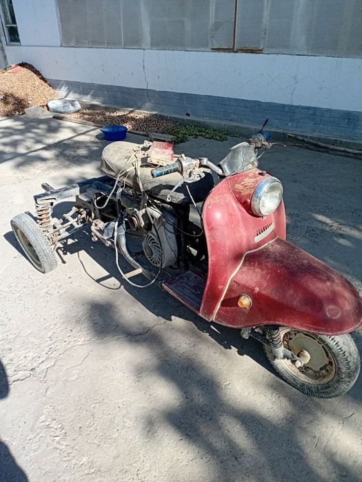 Муравейлар родной