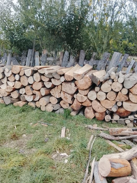 Vând lemne bune de fag transport la domiciliu