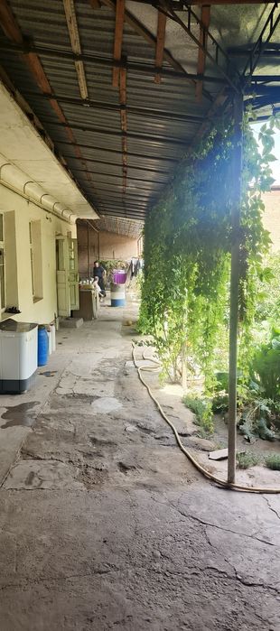 Uchastka sotiladi 8 sotok yahshi joyla
