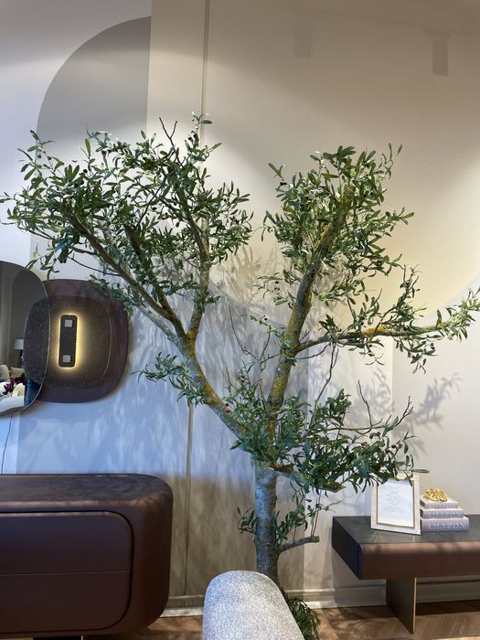 Decor ,copac ornamental trunchi natural