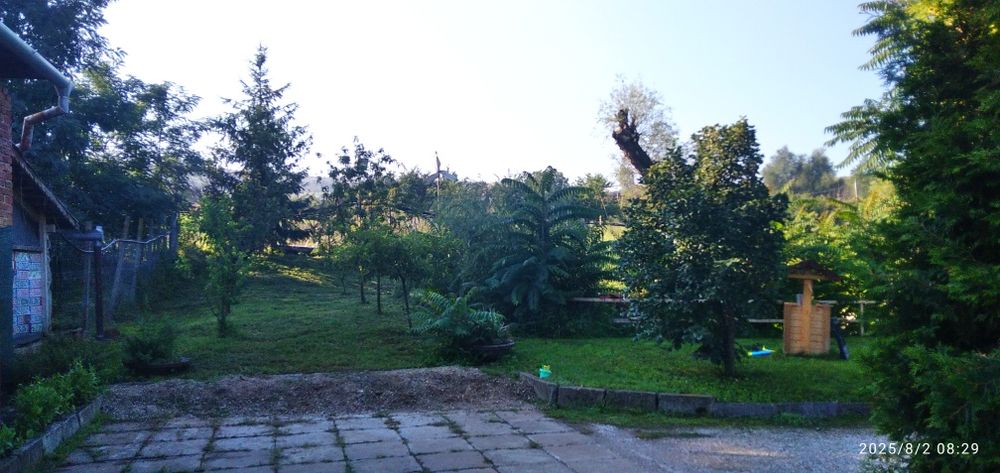 Vand casa unifamiliala cu 4,80 ha in Viișoara