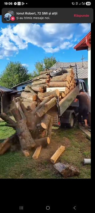 Lemne foc esențe tari