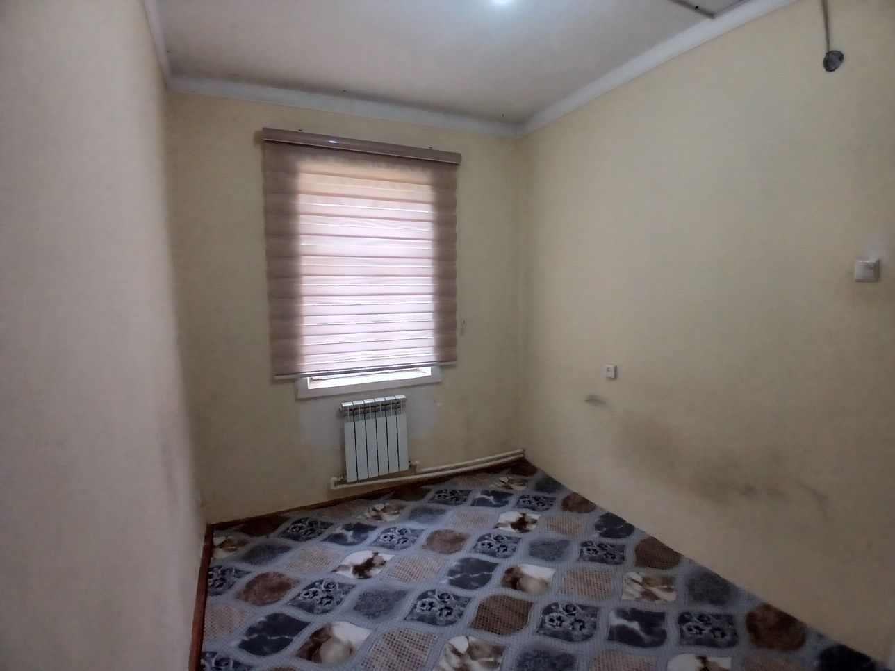 Barcha qulayliklarga ega 3 xonali uy ijaraga beriladi. Mo'ljal Wossen