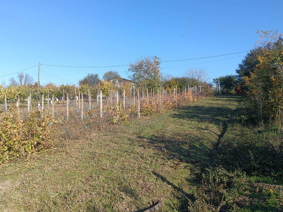 Teren intravilan sat Malcoci, com. Nufaru, jud. Tulcea