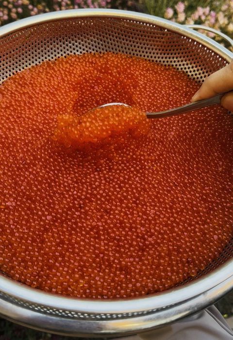 Красная Икра Фарели каждый день Будет свежий партия можете заказать