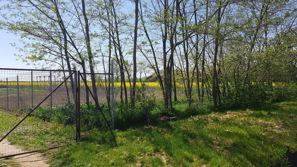 Teren intravilan pentru casă