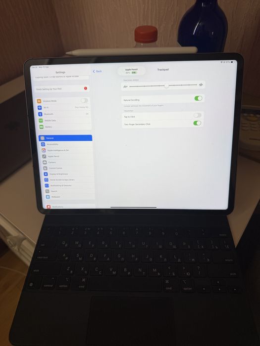 Ipad pro 12.9 (6th gen) 256