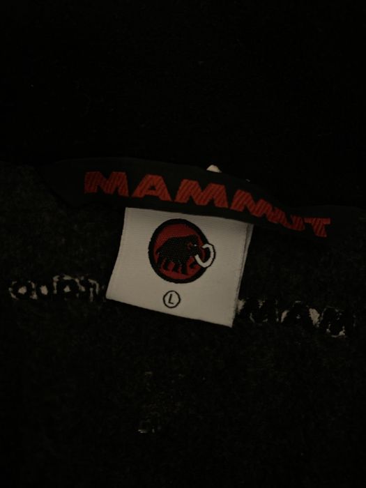 Mammut Outdoor Tecnopile 1/4 Zip, полар