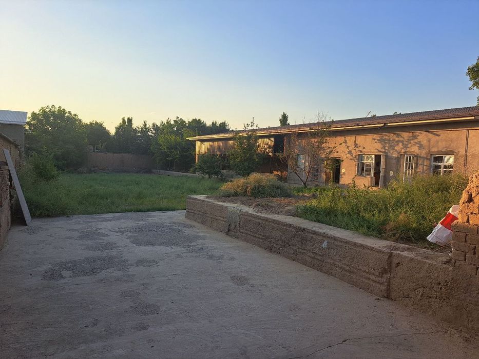 Arendaga mini ferma. 20ta buqa sigadiga joy