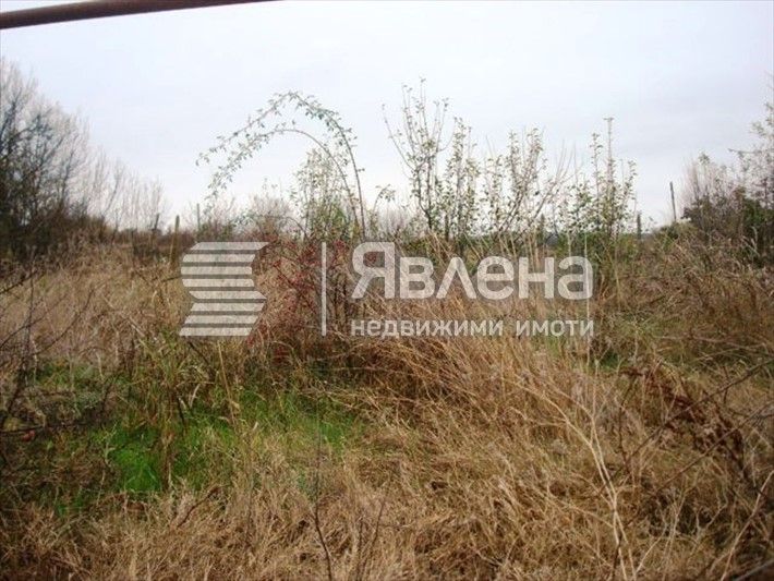 Продава се Къща в с. Маломир, Област Ямбол - 190 кв.м за 58 €/кв.м - Снимка #4