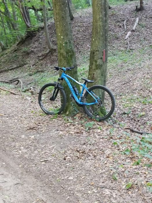 Bicicletă Devron Riddle – stare bună

Vând bicicletă Devron Riddle, fu