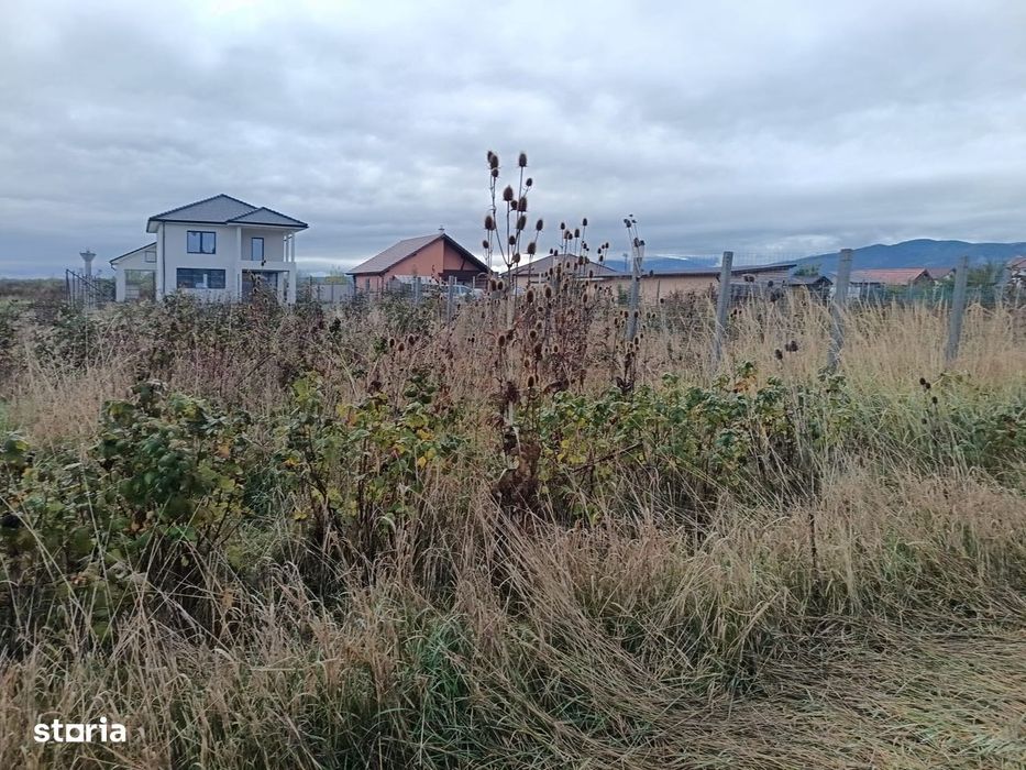 Teren  Intravilan Cristian -Sere