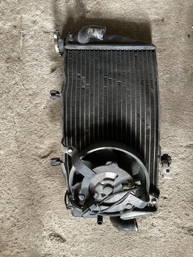 Хонда/Honda CBR 929