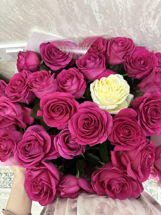 Цветы Роза красив оформ шикарнный новый цветы можете покупат