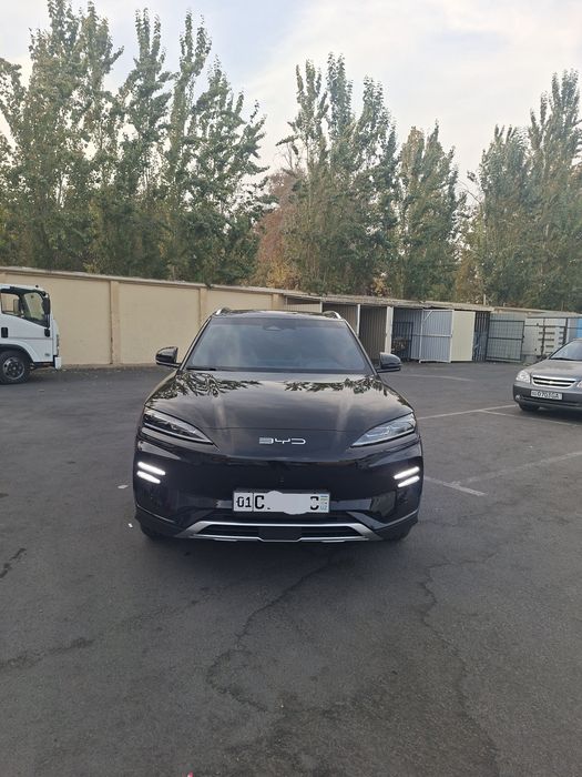 Byd Champion sotiladi