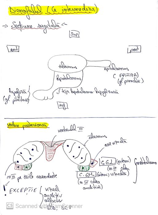 Meditații Biologie(corint) pentru admiterea la medicină