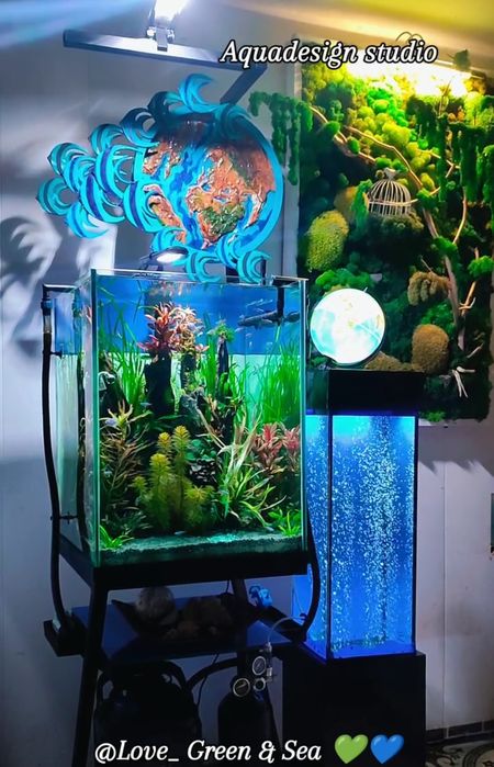 Аквариум под ключ!!!