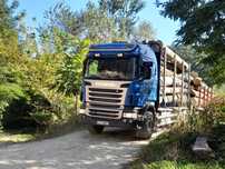 Camion forestier și remorca
